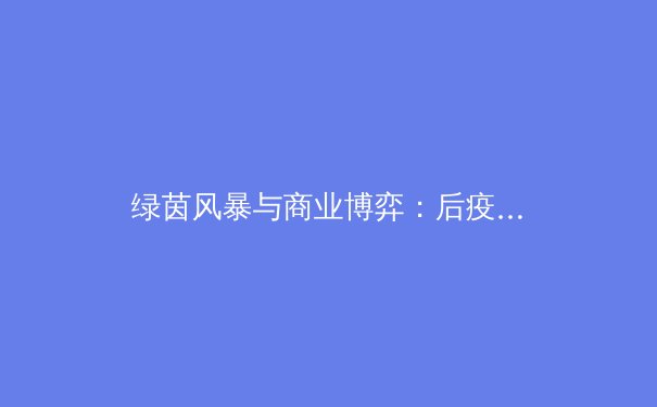 绿茵风暴与商业博弈：后疫情时代职业体育的转型与挑战 - 2